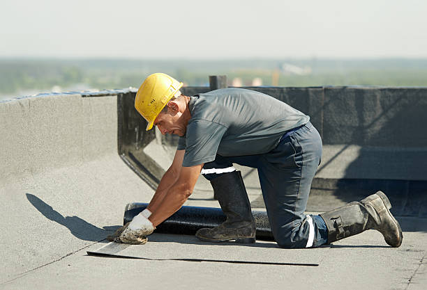 Best Residential Insulation Services  in Anna, OH